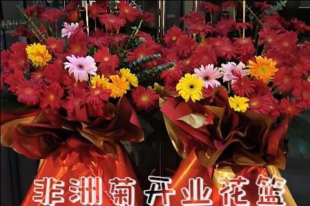 娄底开业花篮
